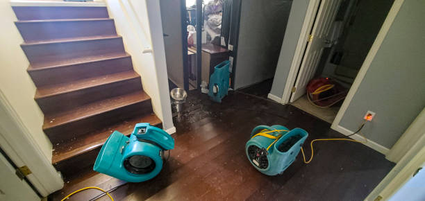 Best Flood restoration services  in West Yarmouth, MA