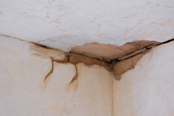 Best Water damage restoration specialists  in West Yarmouth, MA