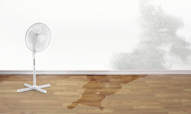 Reliable MA Water damage restoration Solutions