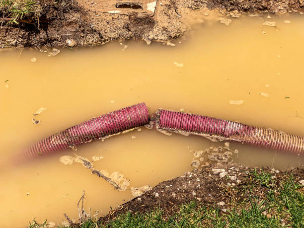 Best Water damage contractors near me  in West Yarmouth, MA